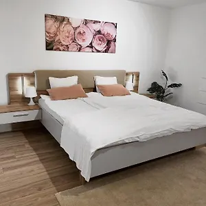Eine Schoene Im Herzen Von Basel. Apartamento